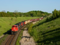 The sounds of 3 straining EMD 16-710 prime mover's can be heard for miles away, 2 SD70M-2's and a 75I are seen doing the uphill battle with gravity and heavy tonnage.