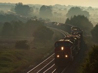 Here's a shot from over a year back at Newtonville, CN M37321 25 after sunrise with the low hanging fog lingering.