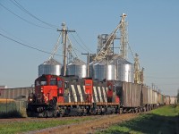 CN 525, with a nice pair of zebra GP9rm is switching the NovaGrain tracks.