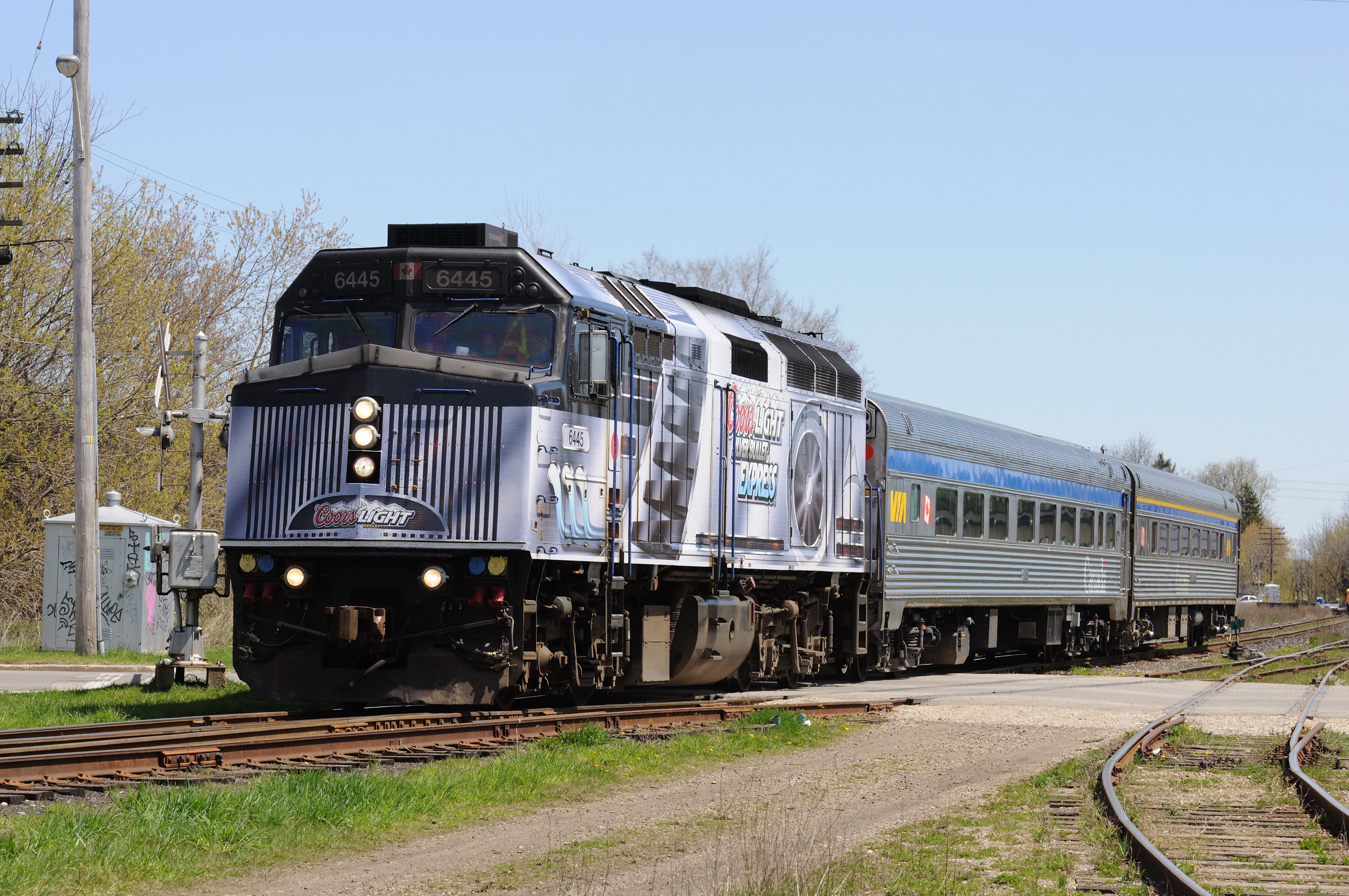 Railpictures.ca Stephen C. Host Photo VIA Rail 6445, in the Coors
