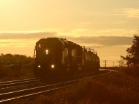 CP 235 screams out of the sunrise at Lovekin