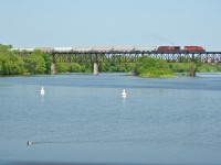 A CP eastbound makes its way along Galt Sub as a duck swims down the Grand River. 