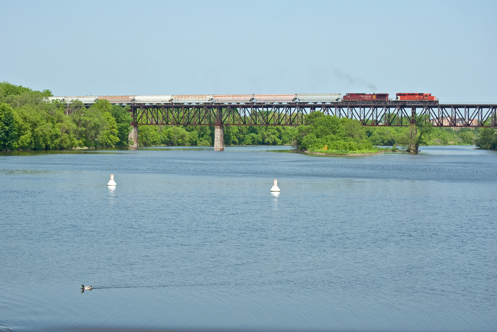 A CP eastbound makes its way along Galt Sub as a duck swims down the Grand River.