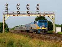 VIA 75 hustles under the signal bridge at Paris West. 