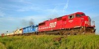 CP 241 led by SOO 6062 (SD60M), CEFX 3127 (SD40M-2) & SOO 6033 (SD60) westbound on the CP Windsor Sub as it passes the signal at mile 77.4