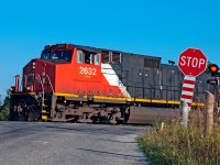 A rather junky looking C44-9 leads train 393 through Stewarttown and the grade crossing on 15th side road. 