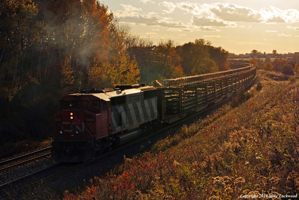 Having just been scooped ny 376, CN 5559 tries to get 310\'s train back up to speed at Newtonville. This 310 consisted on one each loaded and empty CWR train and some paying freight on the tail. 1733hrs.