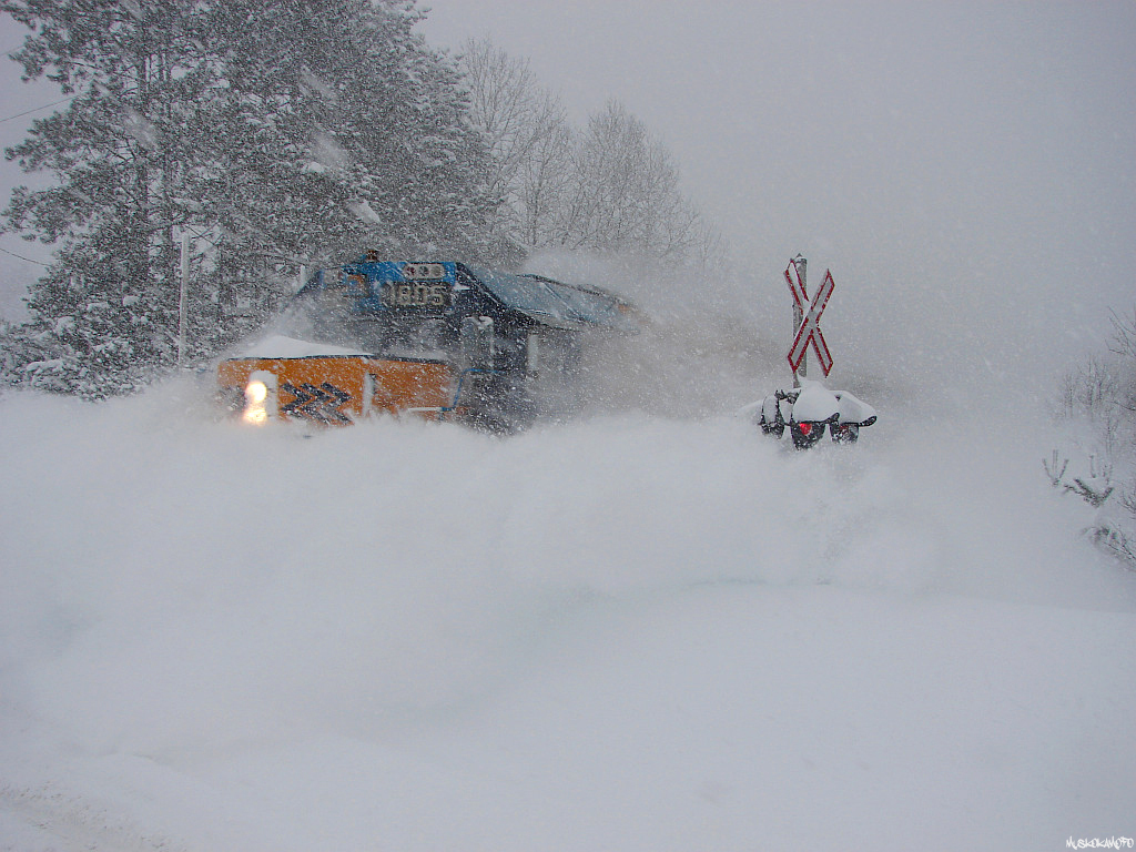 CN P69731 11 - ON 1805 North dashing through the snow at Falkenburg during day 2 of a blizzard that hovered over Muskoka for 4 days, dumping over 115CM of fresh white gold across Central Ontario making some excellent photo ops for those brave enough to head out!