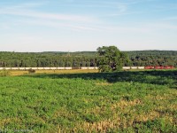 Other than the Hwy 7 stretch in Havelock this is the most open section of the sub at Pontypool we can see 21 of the 30 cars in tow from this spot.