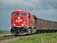 CP 8886 gets out of the storm and into some sunshine as it has a string of coal empties for BC.
