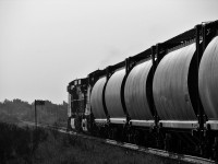 CP 348 is lifting grain loads bound for Montreal in Moosomin during the early morning hours.