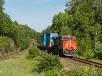 A southbound intermodal train leans into a curve at Rosseau Road.  CN and CP run side by side here.