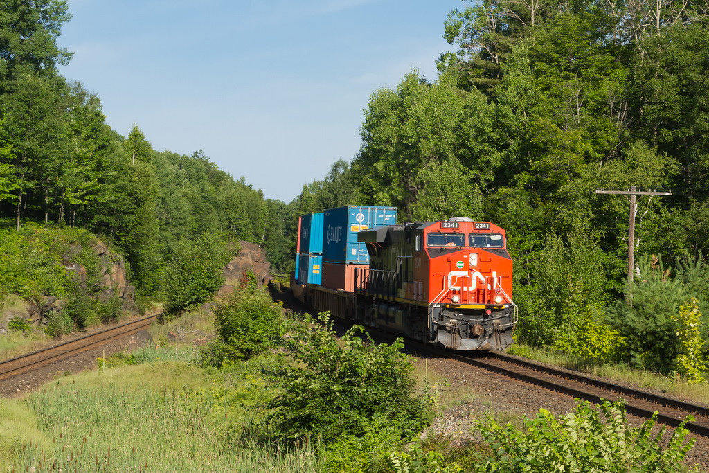 A southbound intermodal train leans into a curve at Rosseau Road.  CN and CP run side by side here.
