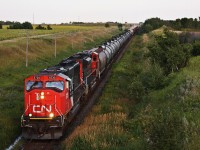 CN Q199 with repainted 5735 and 8909 head under the wooden overpass at Miniota and down hill to meet M312