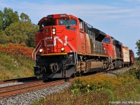 With a grade of it's own to contend with west out of Port Hope, CN 8956, 2233 and mid-train DPU 8881 lift 305's train through Wesleyville. 1308hrs.