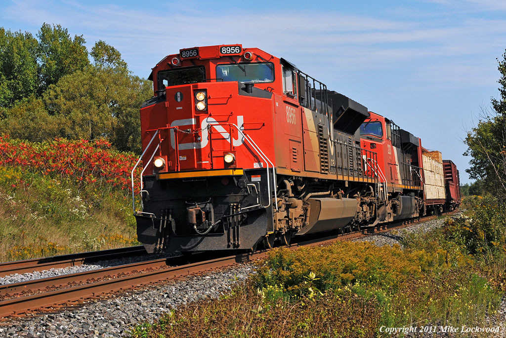 With a grade of it\'s own to contend with west out of Port Hope, CN 8956, 2233 and mid-train DPU 8881 lift 305\'s train through Wesleyville. 1308hrs.