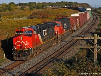 A late running 369 curves through Lovekin behind CN 2322 and 5716. I've made this shot dozens of times, and in afternoon sweet light, I never tire if it. 1740hrs.