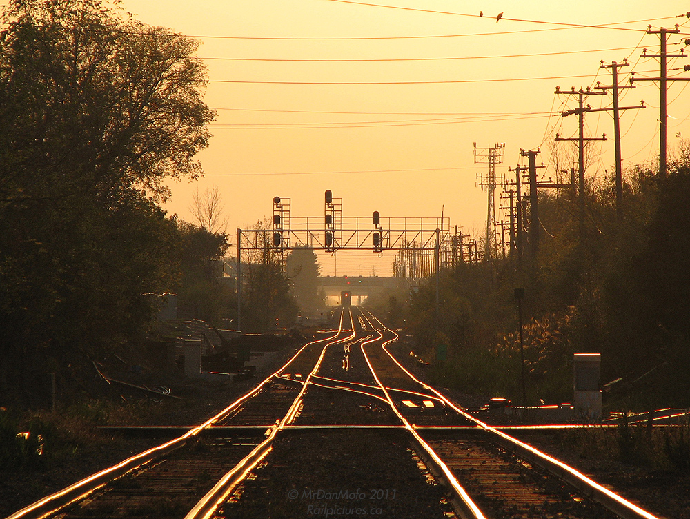 Thanksgiving sunset on the Canadian National\'s Halton Sub. CN\'s last SD75I, 5800, leads 398 on the descent from Chinguacousy Rd. overpass to the CN-OBRY diamond just west of the station.