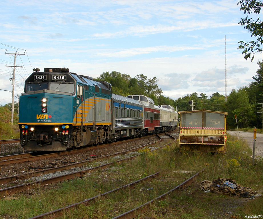 VIA #3, VIA 6436 North leaves Washago with a private charter paid for by some wealthy Saudi Arabian\'s, on a rare daylight move for VIA through Washago.