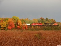 CN 2657 South leads CP 436 towards Milesign MacTier in a beautiful Fall evening shortly after the clouds opened up overhead. In the spring of 2009, CP temporarily leased several locomotives off rival CN to cope with a power shortage between Toronto and Winnipeg.