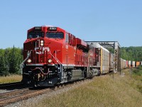 Brand new CP ES44AC 8901 leads 111-08 west of Thunder Bay with older AC4400CW 9724. CP 8902 is towards the tailend providing the power in the middle of this 2 mile long hot shot.