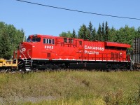 CP 8902 provides the ponies mid-train on 111-08 on its maiden voyage across the country.