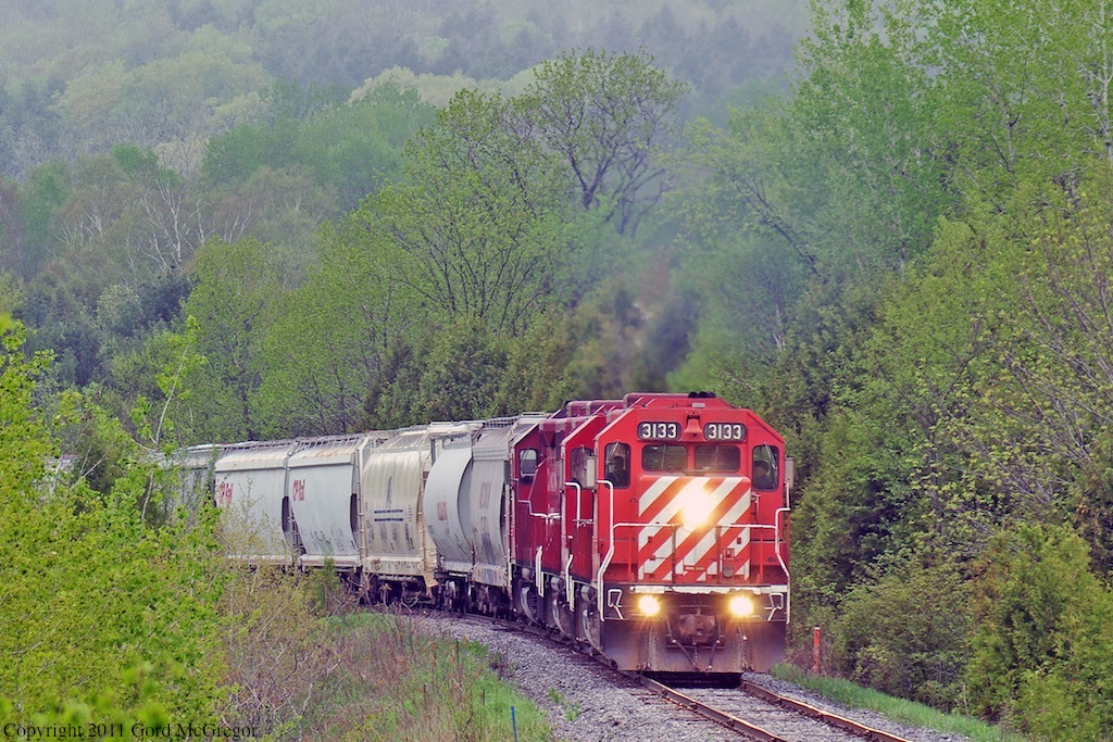 Fog is lifting and revealing an amazing variety of hues as spring arrives in Balsam Ontario.