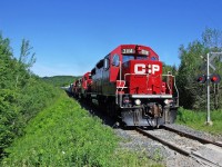 3114 leading T08 eastbound into the funky summer light.