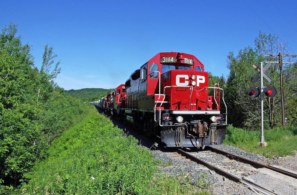 3114 leading T08 eastbound into the funky summer light.