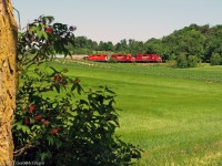 3114 leads T08 with a load of empties past the rolling farmland in Raglan Ontario