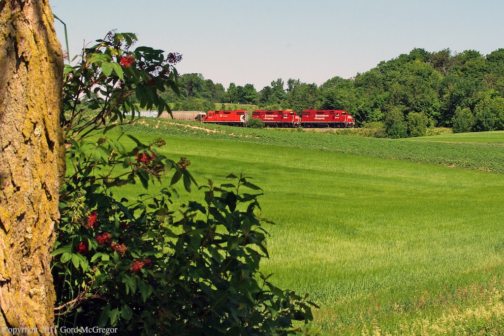 3114 leads T08 with a load of empties past the rolling farmland in Raglan Ontario