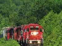 Its always a pleasure to shoot at Balsam,Today we see 3114 rounding the curve amidst the dense forest.