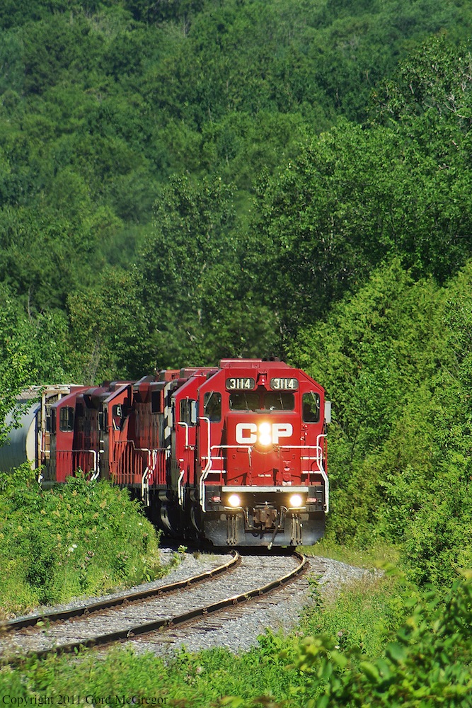 Its always a pleasure to shoot at Balsam,Today we see 3114 rounding the curve amidst the dense forest.