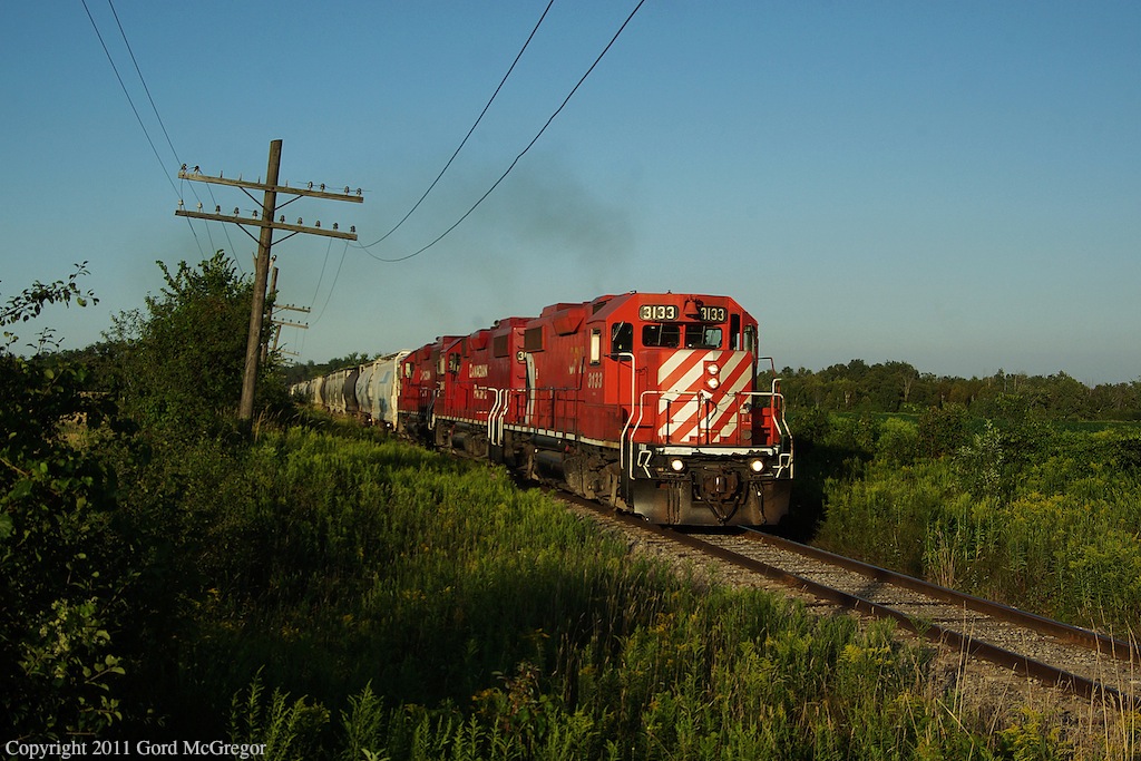 Heading into brilliant summer sun 3133 leads T07 on its Journey to Toronto.