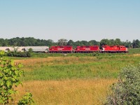 The Havelock train primarily has a similar load each day in todays case its empties and generally any other freight is loaded at the head to be set out.Today its a Union Pacific Hopper.