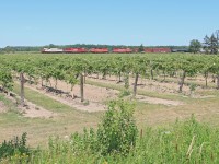 SOO 6035 leads three other EMDs through the heart of Niagara\'s wine region with 255-02.