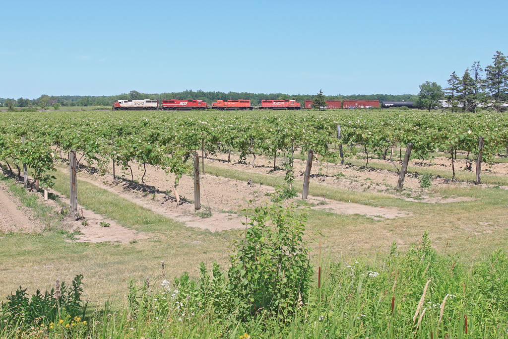 SOO 6035 leads three other EMDs through the heart of Niagara\'s wine region with 255-02.