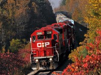 CP 3114, 3038, 3043, and 8215 tote T08\'s 44 cars through Raglan, ON., amid some nice autumn colour. 0947hrs.