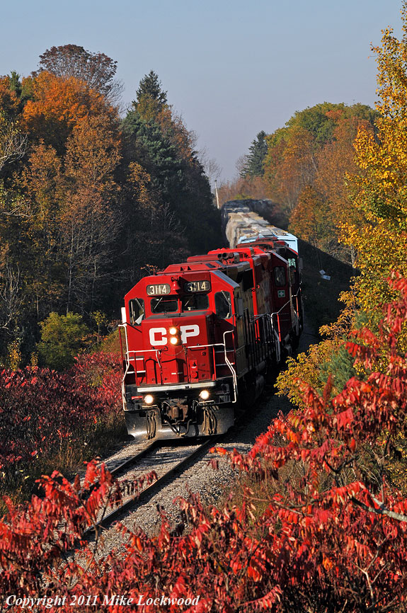 CP 3114, 3038, 3043, and 8215 tote T08\'s 44 cars through Raglan, ON., amid some nice autumn colour. 0947hrs.