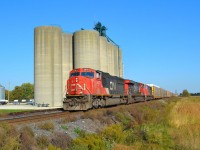CN 393 led by 5670, 2304 & 5623 heads westbound towards Sarnia from CN Wanstead (CN Strathroy Sub mp 41.73)