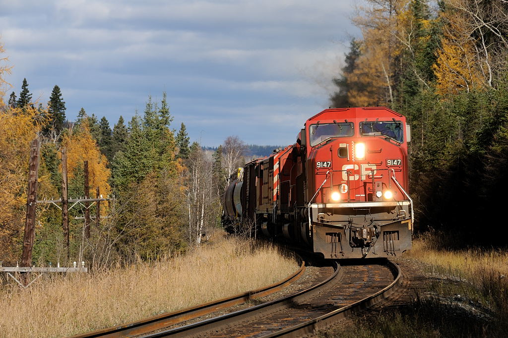 On the approach to Loon, CP SD90Mac 9147 + SD40-2B 6076 + SD40-2F 9014 grind Toronto to Thunder Bay freight 221-24 through one of the many S- curves on the Nipigon Subdivision. With most deciduous trees having lost their leaves, the Tamarac\'s, only coniferous trees to change colour in the fall brighten up the scene.