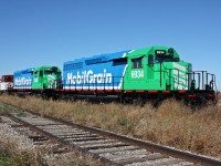 LMR MGLX 6934 3130 605