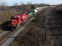 CP 249 with SOO 6042 and NREX 8092 at Lobo.