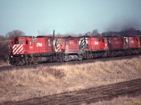 CP MLW M-636 4704 leads several sisters and cousins westbound at Lovekin siding, CP Belleville sub, in April 1990.