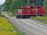 Action red paint and goldenrod at quiet Atha Road in Pickering.