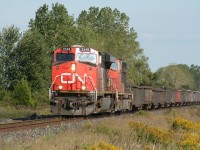 On a warm day in September the trees are still green and the only sign of impending fall is the colouring of the goldenrod in the ditches as CN 331 approaches its destination of Sarnia.