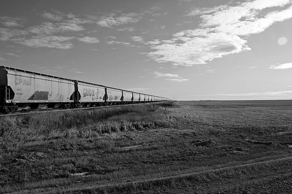 CP grain train bound for the states zips along the pure wide open prairie of southwest Saskatchewan.