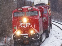 A pleasant surprise rounds the bend at Rosedale as CP 8904, 9105, 9007 lead 119 quietly through the snow...