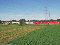 I've always found Box Grove an interesting spot.The meeting of two railways farms country and suburbs all in one. 