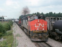 CN 207 passes beside 306 at track speed.